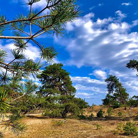 Bonte Specht: Tot Rust Komen In De Natuur! อ็อตเตอร์โล ภายนอก รูปภาพ