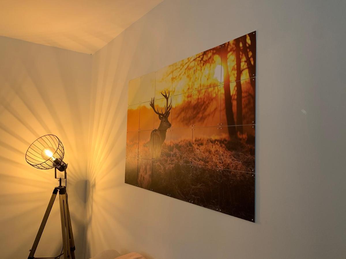 Bonte Specht: Tot Rust Komen In De Natuur! อ็อตเตอร์โล ภายนอก รูปภาพ