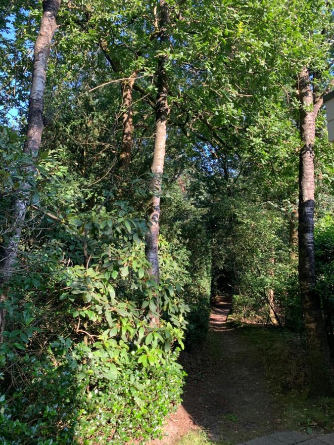 Bonte Specht: Tot Rust Komen In De Natuur! อ็อตเตอร์โล ภายนอก รูปภาพ