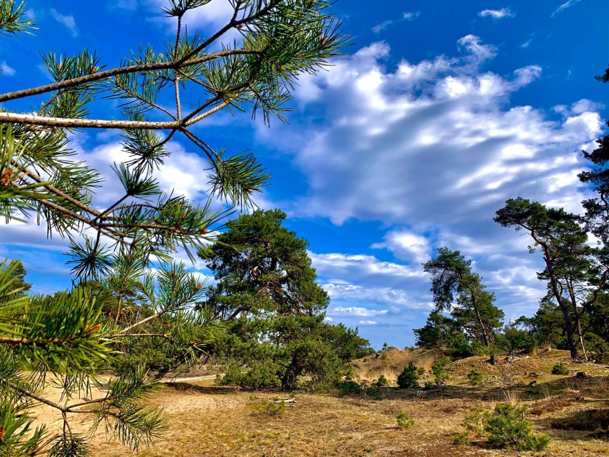 Bonte Specht: Tot Rust Komen In De Natuur! อ็อตเตอร์โล ภายนอก รูปภาพ